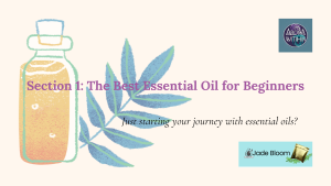 The best essential oils for beginners