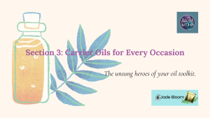 Carrier Oils for every occasion