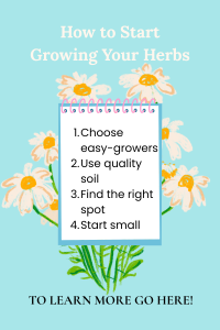 Herbal Beginner Garden