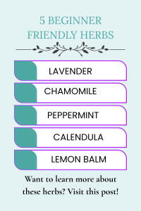 Beginner Friendly Herbs: Lavender, Chamomile, Peppermint, Calendula, Lemon Balm